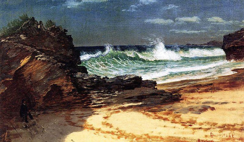 Albert Bierstadt Beach at Nassau china oil painting image